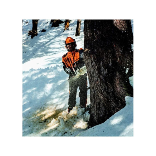 Бензопила STIHL MS 462 45см