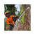 Бензопила Stihl MS 500i