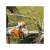 Аккумуляторная пила Stihl MSA 220 C-BQ