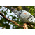Высоторез STIHL HTA 86