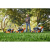 Газонокосилка STIHL RM 248 T