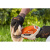 Аккумуляторные ножницы STIHL HSA 26 SET комплект AS 2 + AL 1