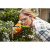 Аккумуляторные ножницы STIHL HSA 26 SET комплект AS 2 + AL 1