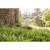 Аккумуляторная мотокоса STIHL FSA 57