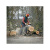 Бензопила STIHL MS 271