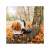 Воздуходувка Stihl BR 500